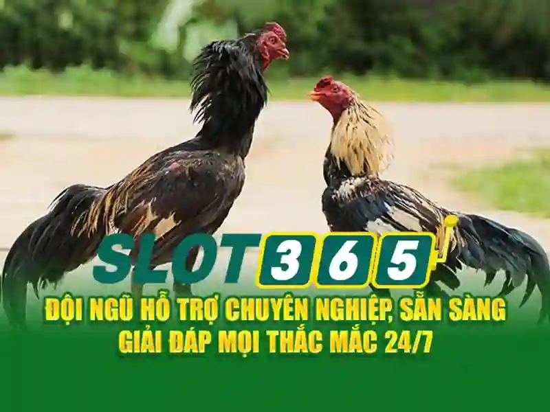 Nguồn gốc và sứ mệnh của slot365 game