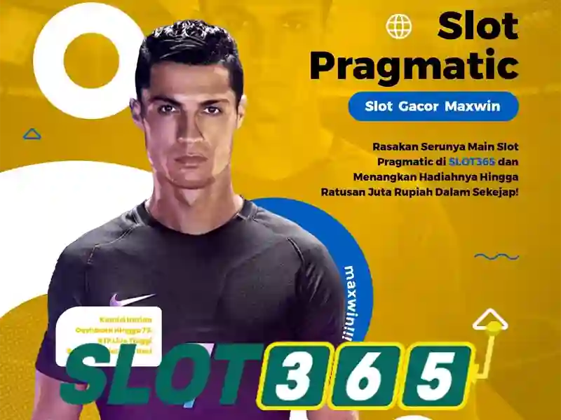 Trải nghiệm người dùng và phản hồi từ cộng đồng