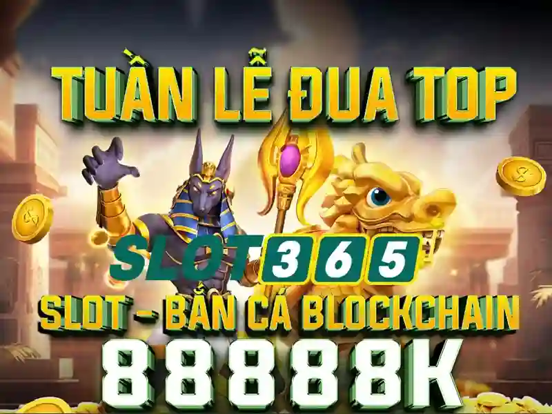 Phát triển và tầm nhìn tương lai của slot365 login